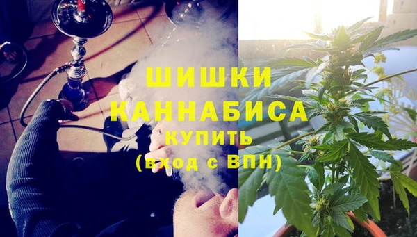 ПСИЛОЦИБИНОВЫЕ ГРИБЫ Алзамай