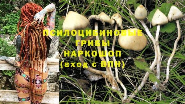 марки lsd Железноводск
