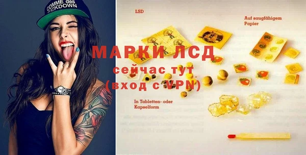 ПСИЛОЦИБИНОВЫЕ ГРИБЫ Алзамай