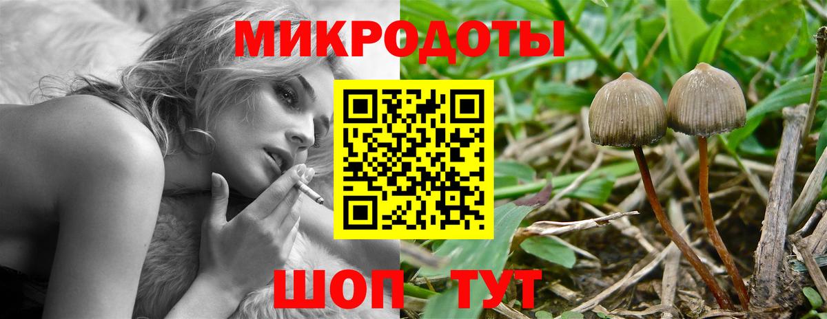 Псилоцибиновые грибы GOLDEN TEACHER  Вход с VPN  Галлюциногенные грибы Psilocybe  Кириши 