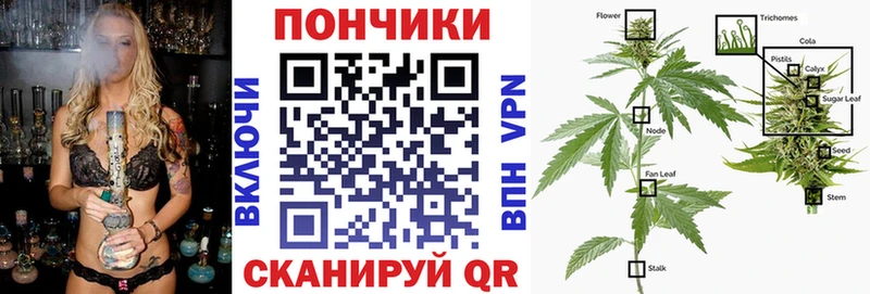 Шишки марихуана Amnesia  Кириши 