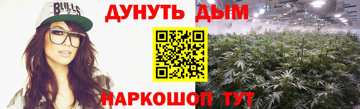 МАРИХУАНА семена Кириши