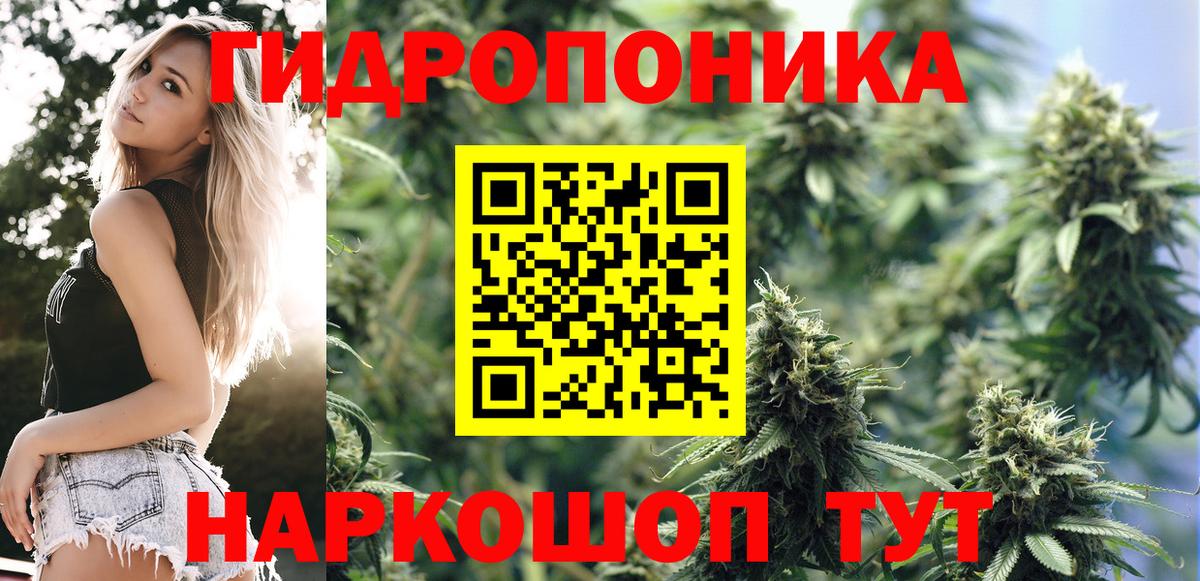 Кириши  Каннабис LSD WEED  Вход с VPN  Канабис Bruce Banner  Шишки марихуана конопля  Конопля конопля 